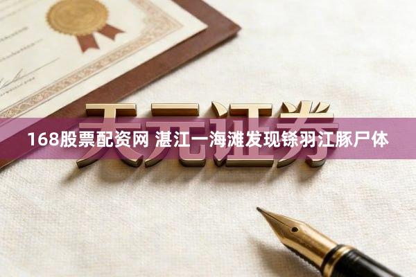 168股票配资网 湛江一海滩发现铩羽江豚尸体