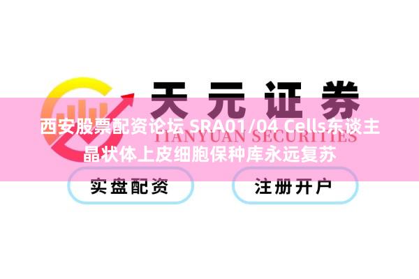 西安股票配资论坛 SRA01/04 Cells东谈主晶状体上皮细胞保种库永远复苏