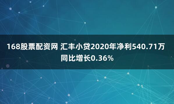 168股票配资网 汇丰小贷2020年净利540.71万 同比增长0.36%