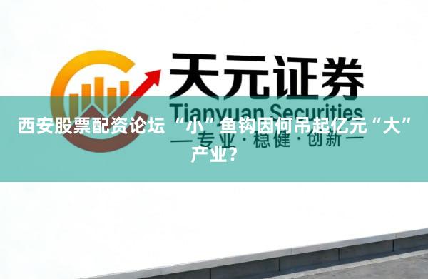 西安股票配资论坛 “小”鱼钩因何吊起亿元“大”产业？