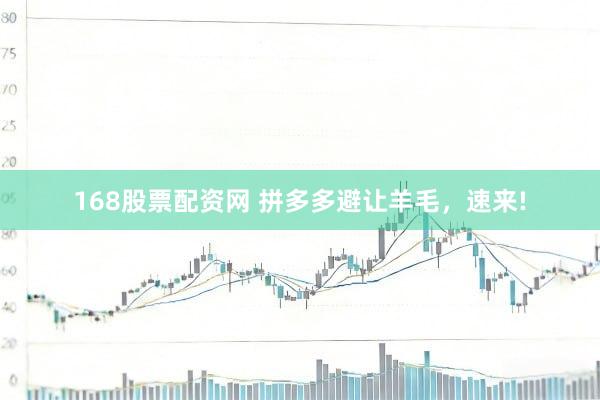 168股票配资网 拼多多避让羊毛，速来!